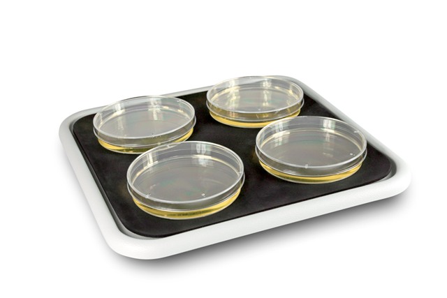 Akcesoria do sprzętu mieszającego Biosan Platforma płaska PP-4 do wytrząsarki ES-20