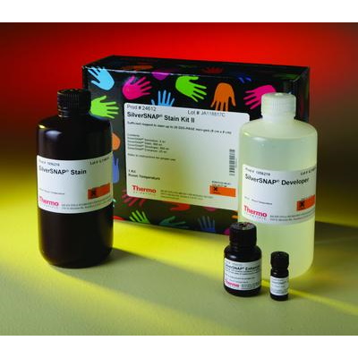 Barwniki do elektroforezy THERMO SCIENTIFIC GelCode SilverSNAP Silver Stain II