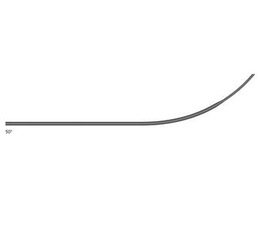 Dostęp Biosense Webster HEARTSPAN