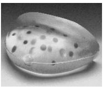 Fantomy do biopsji FLUKE Do biopsji stereotaktycznej