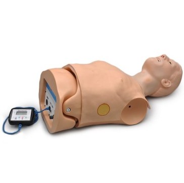 Fantomy szkoleniowe 3B Scientific 1018867