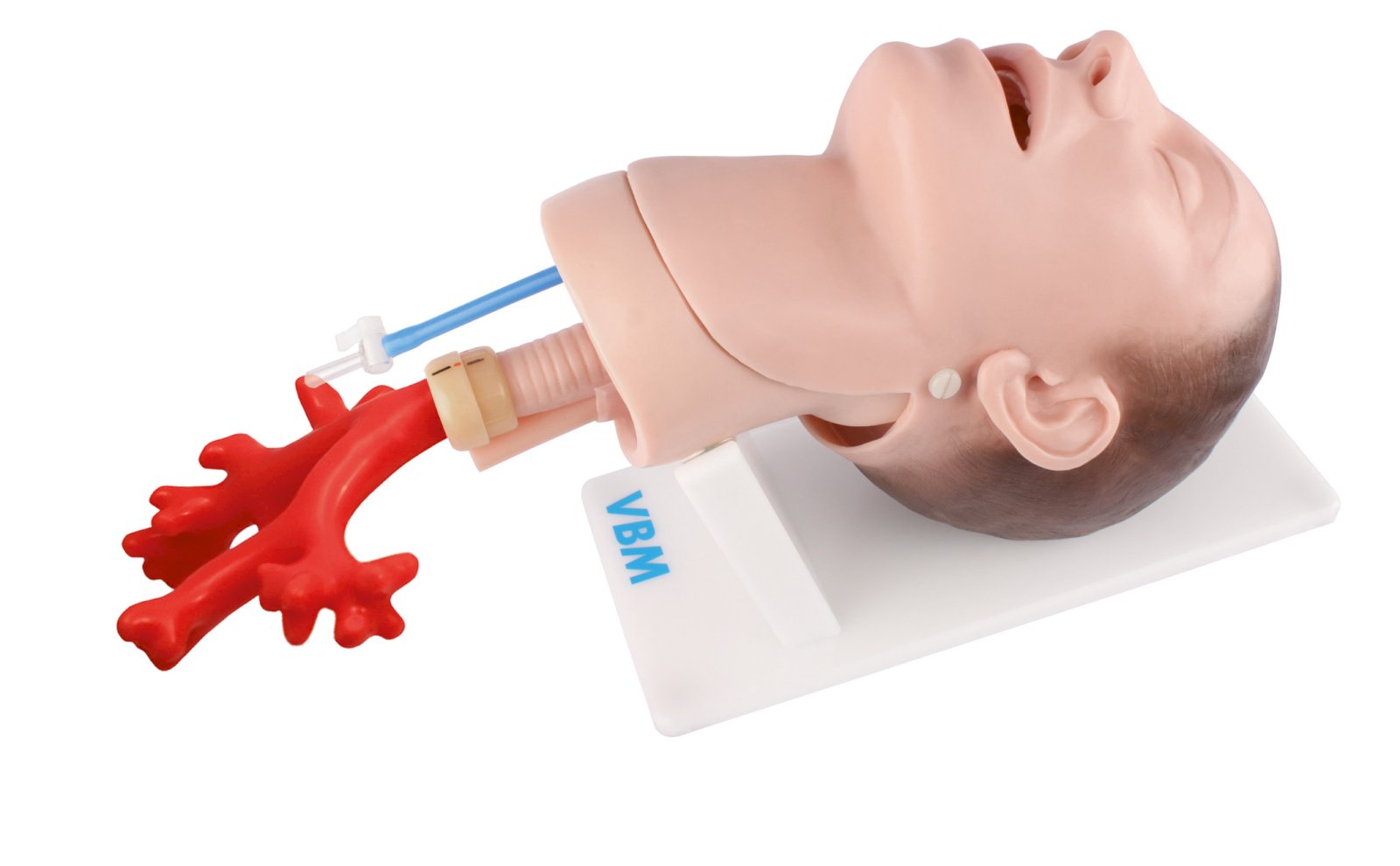 Fantomy szkoleniowe VBM Medizintechnik Bill III