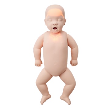 Fantomy szkoleniowe Innosonian Brayden Baby PRO