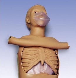 Fantomy szkoleniowe 3B Scientific Simon CPR