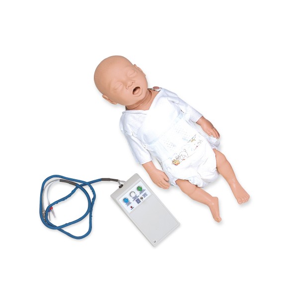 Fantomy szkoleniowe 3B Scientific W44041