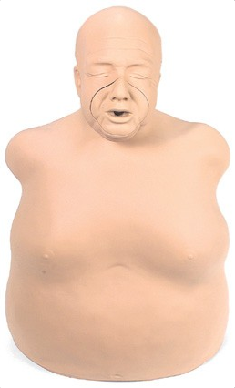 Fantomy szkoleniowe 3B Scientific W44233