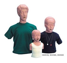 Fantomy szkoleniowe 3B Scientific W44536