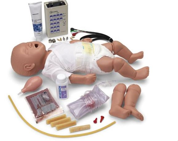 Fantomy szkoleniowe 3B Scientific W44608