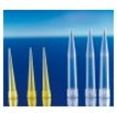Końcówki do pipet B/D Końcówki do pipet