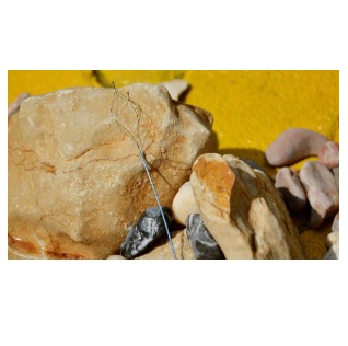 Koszyczki do endoskopów giętkich GEOTEK koszyki