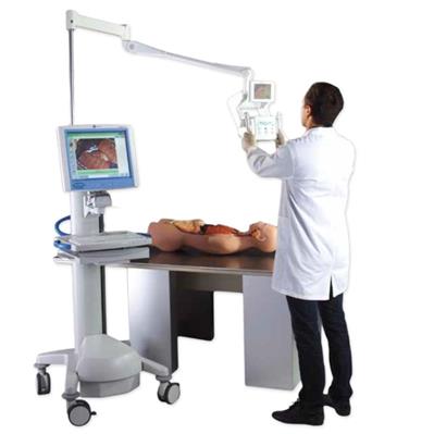 Makroskopy Milestone Macro Path PRO X, Macro View DM