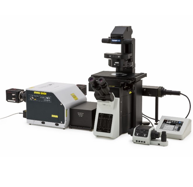 Mikroskopy konfokalne Olympus SpinSR