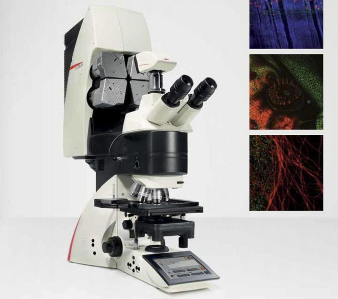 Mikroskopy konfokalne LEICA TCS SP8