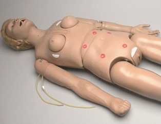 Modele / Manekiny pielęgnacyjne - dorośli 3B Scientific W45001