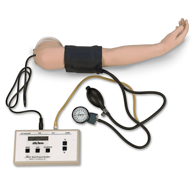 Modele zabiegowe 3B Scientific 1019791