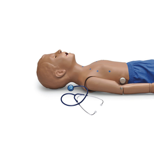 Modele zabiegowe 3B Scientific 1020853