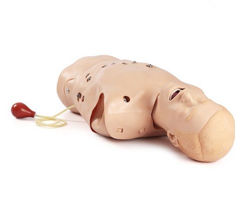 Modele zabiegowe Laerdal 12-Lead Task Trainer