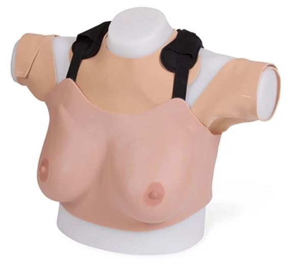 Modele zabiegowe Limbs&Things 40201 / 40200