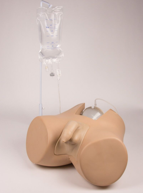 Modele zabiegowe 3B Scientific 7040