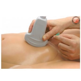 Modele zabiegowe CAE Healthcare Blue Phantom Amniocentesis