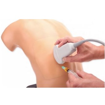 Modele zabiegowe CAE Healthcare Blue Phantom Midscapular Thoracentesis Ultrasound