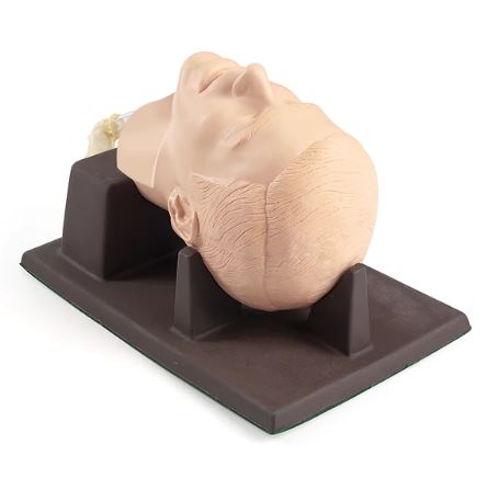 Modele zabiegowe Laerdal Konikotomia i konikopunkcja