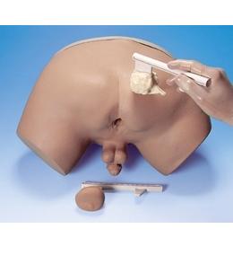 Modele zabiegowe Nasco LF00901U