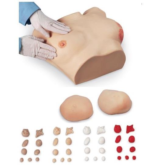 Modele zabiegowe Nasco LF00980U