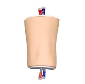 Modele zabiegowe eZono MiniSim Popliteal 6008002