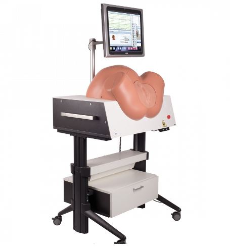 Modele zabiegowe 3B Scientific P-80/1