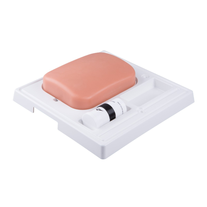 Modele zabiegowe 3B Scientific P121