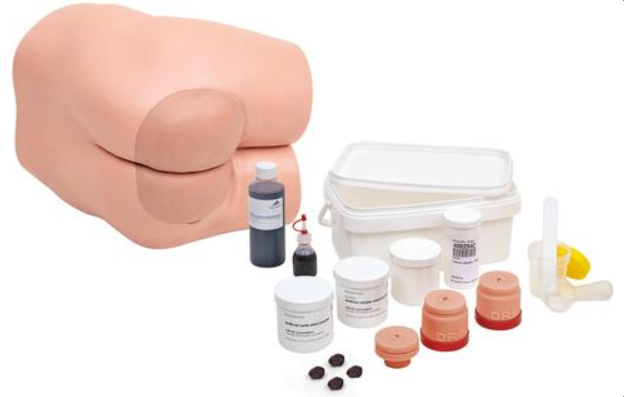 Modele zabiegowe 3B Scientific P16