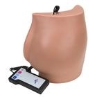 Modele zabiegowe 3B Scientific P57