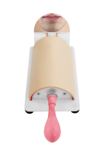 Modele zabiegowe 3B Scientific R67130