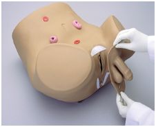 Modele zabiegowe Gaumard S230.10