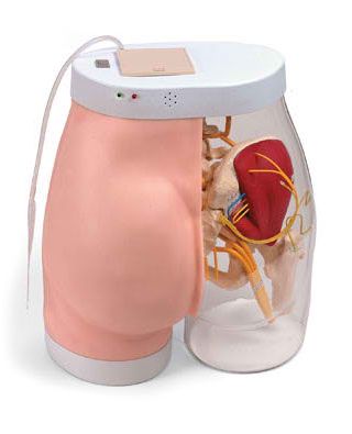 Modele zabiegowe Nasco SB31026U