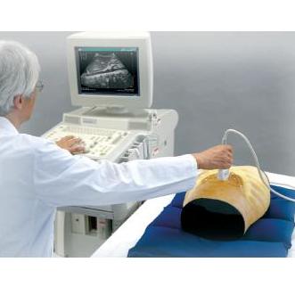 Modele zabiegowe Nasco SB46533U