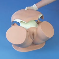 Modele zabiegowe Laerdal Symulator badania klinicznego szyki macicy