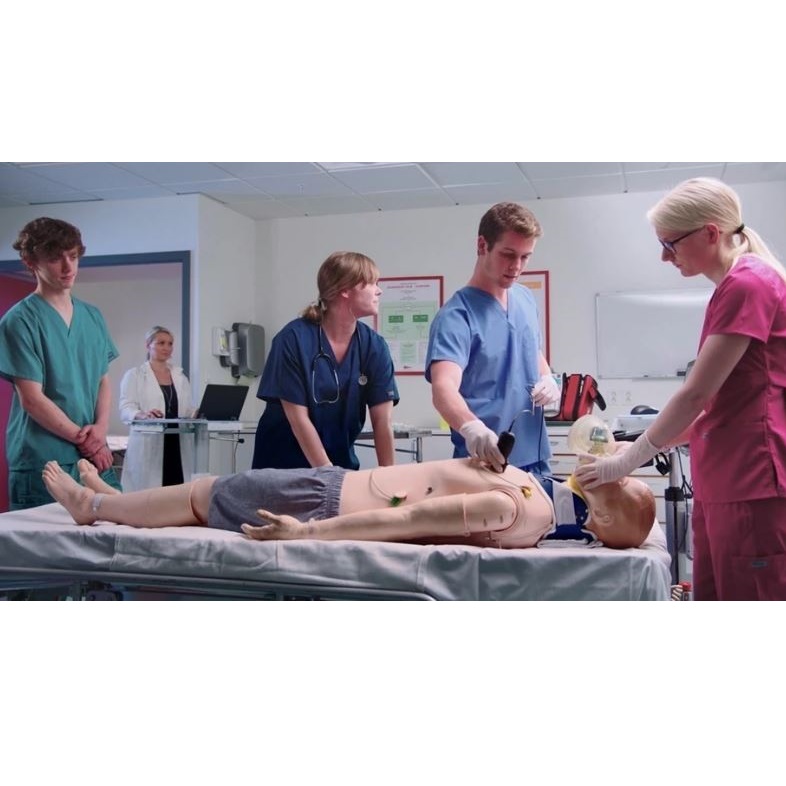 Modele zabiegowe SonoSim Ultrasound Training Solution