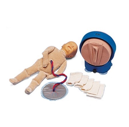 Modele zabiegowe 3B Scientific W19009