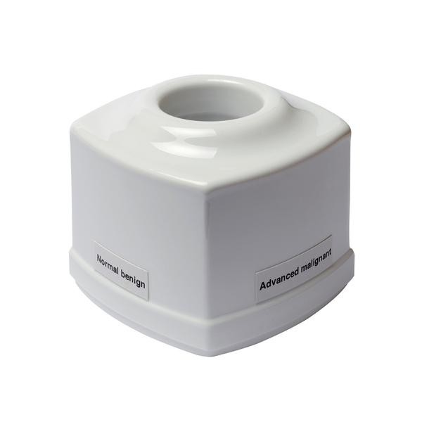 Modele zabiegowe 3B Scientific W19344