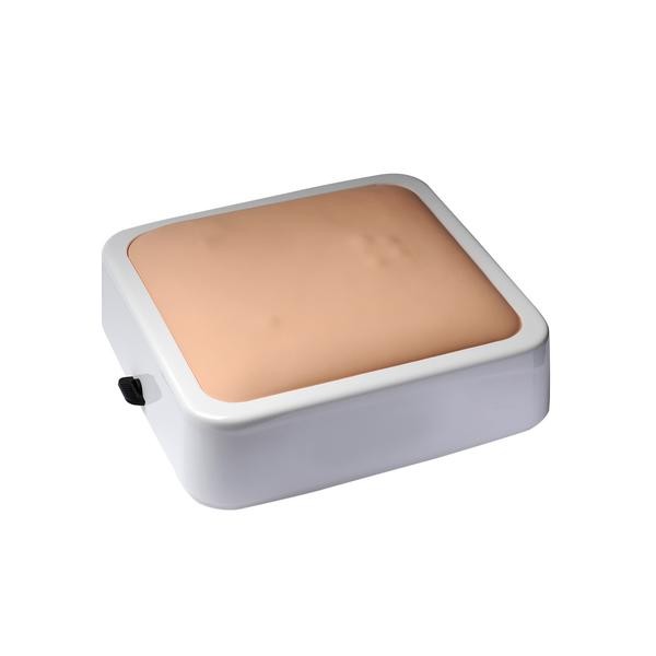 Modele zabiegowe 3B Scientific W19345