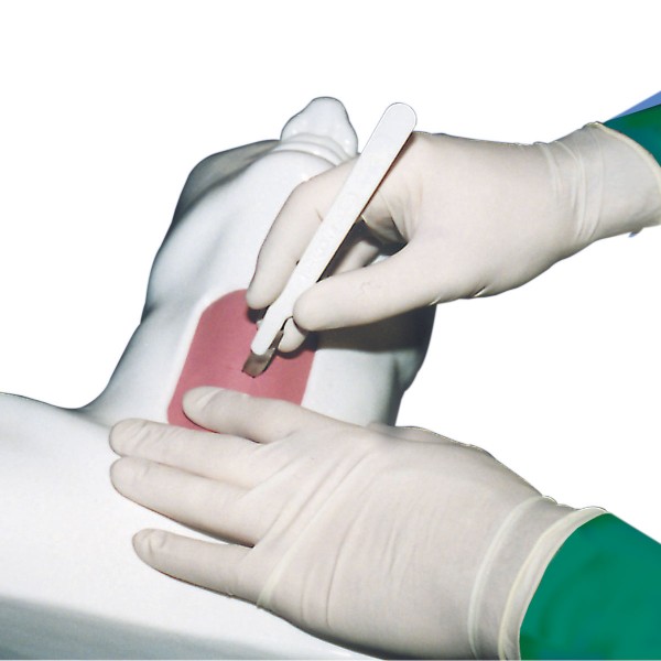 Modele zabiegowe 3B Scientific W19361