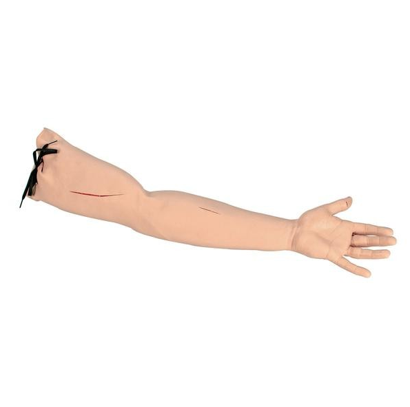 Modele zabiegowe 3B Scientific W44003