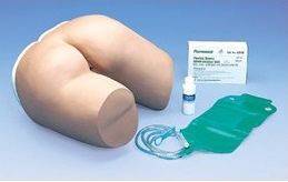 Modele zabiegowe 3B Scientific W44094