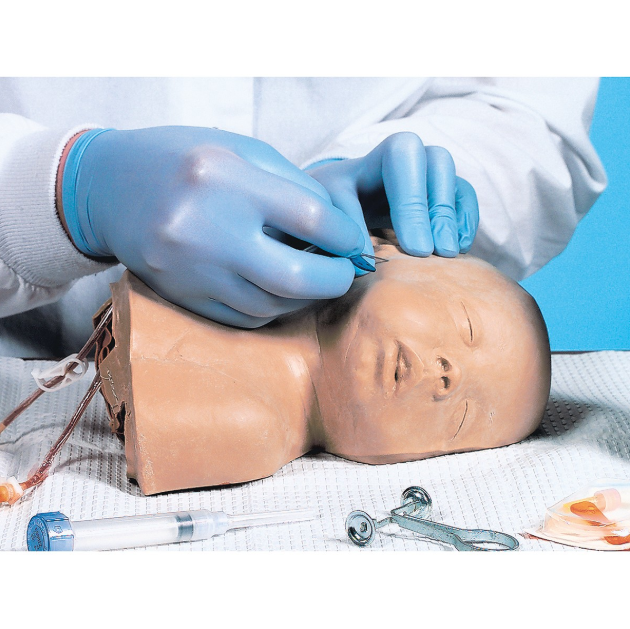 Modele zabiegowe 3B Scientific W44101