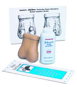 Modele zabiegowe 3B Scientific W44112