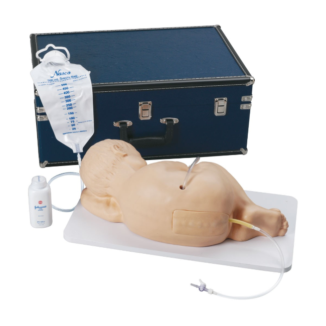 Modele zabiegowe 3B Scientific W44781