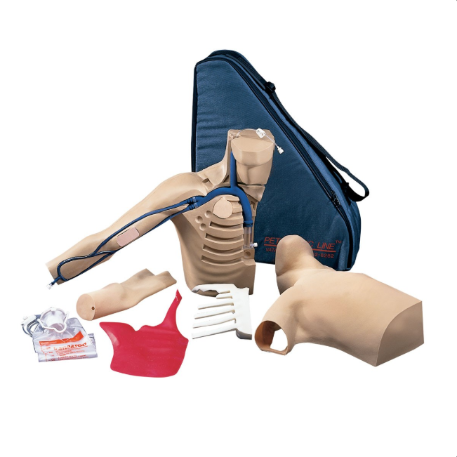 Modele zabiegowe 3B Scientific W46510