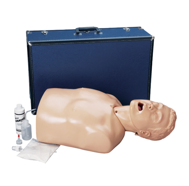 Modele zabiegowe 3B Scientific W99834